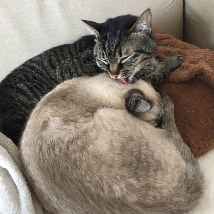 F3a603e2 9d1b 4f11 8d79 bcd7c51f4f62 1551588431975