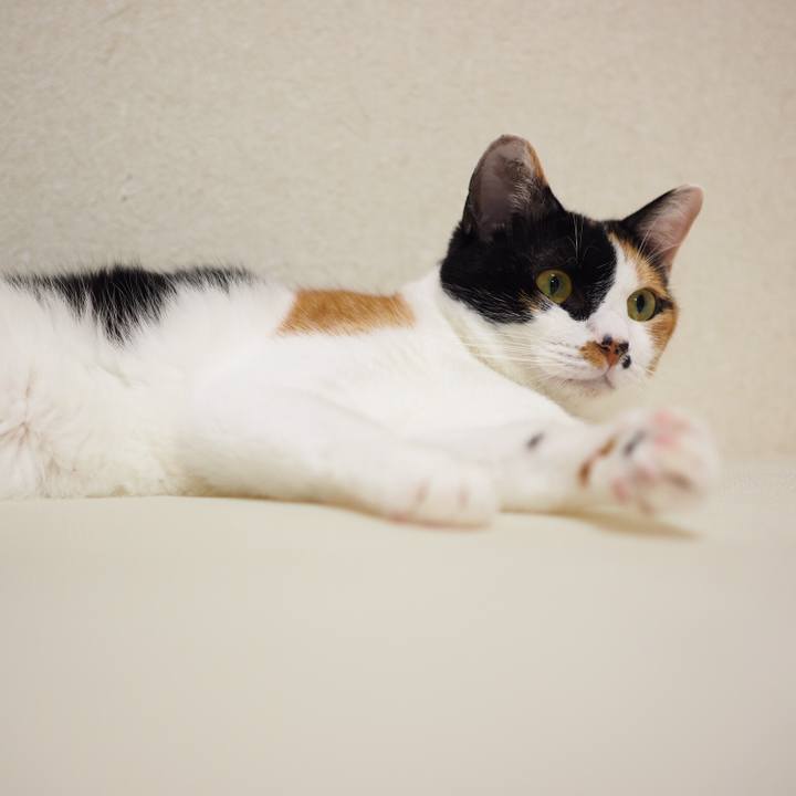 F3a60589 bb9d 48b7 a286 bf0f6907105c 1537401259478