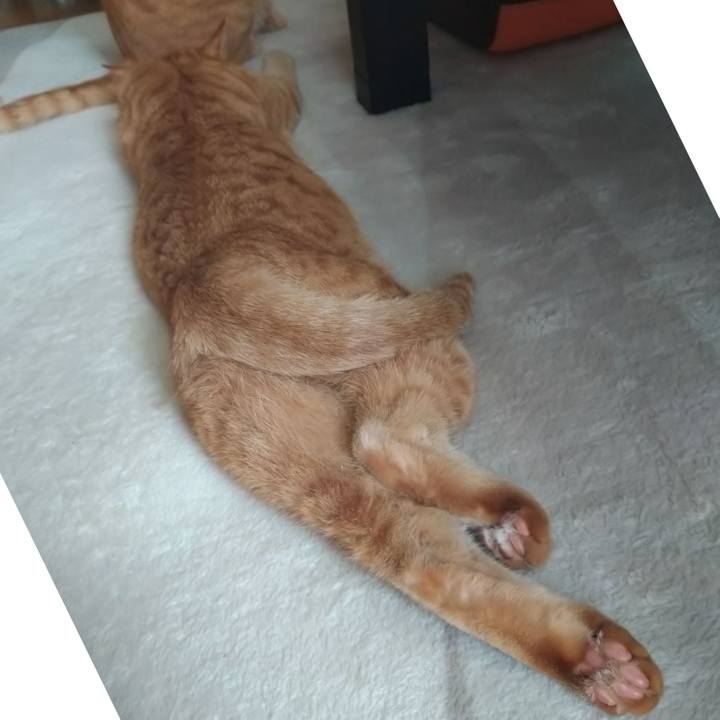 F3a615c2 8f20 4114 b2c1 5d8da5facd7f 1587379548445