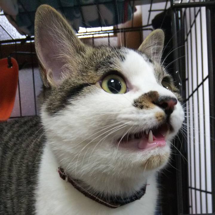 F3a626d2 cc41 445e b098 82526f5c3a4b 1618491210184