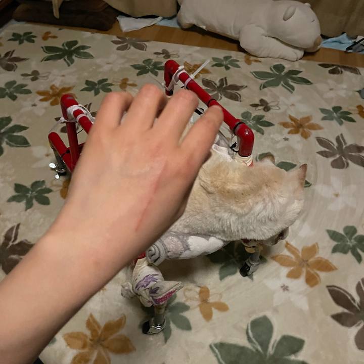 F3a630a2 2518 4779 8f70 ba5dc43f917e 1675140163697