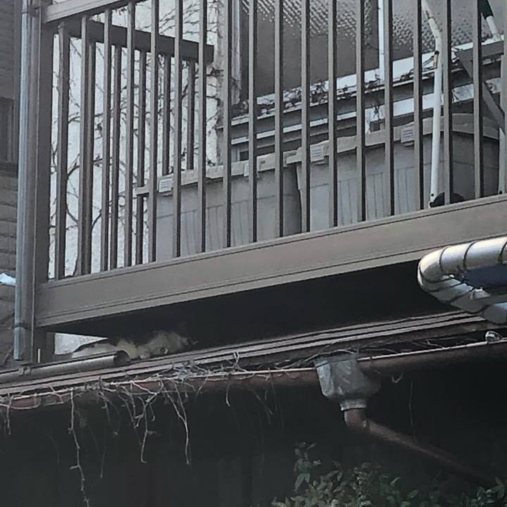 F3a63a76 d164 4e78 9d7f 1d8c0cb0fe2e 1566718902447