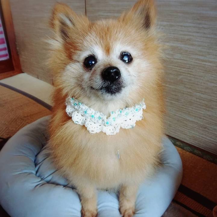 F3a6701b 6933 42aa 8102 61cc16e1f156 1590966383091