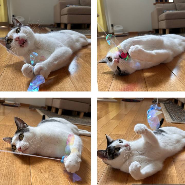 F3a6ee8d 339c 4b20 b6d3 5b183895b6f8 1716436473446