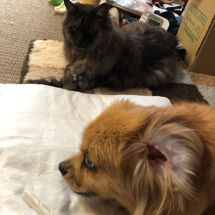 F3a6f614 ac0f 4d3b be11 545b6458eb4b 1530652230672