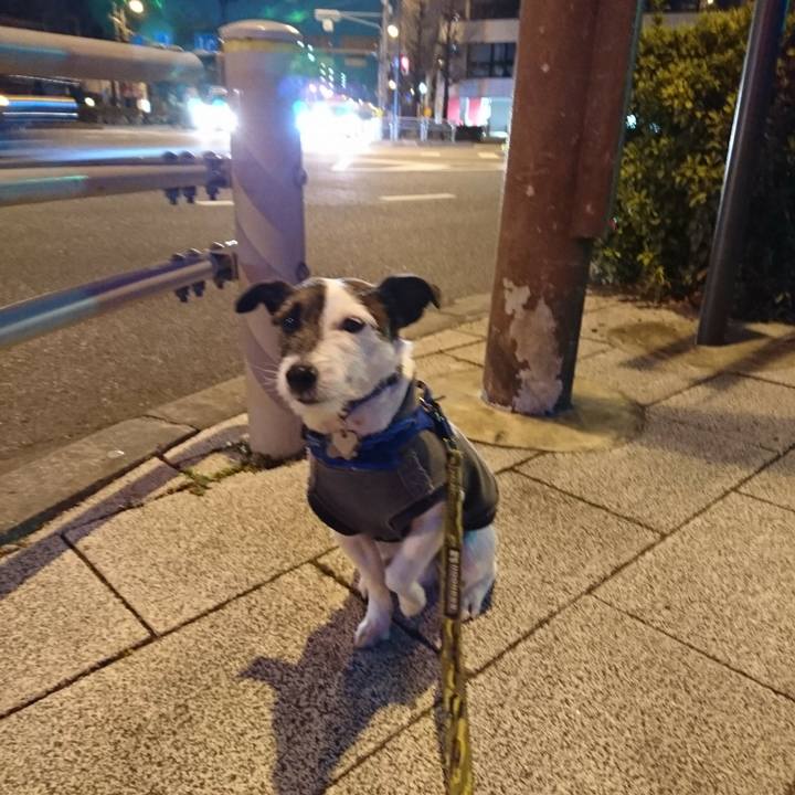 F3a7210a 214f 4a9c a211 a6b14528202b 1518783450032