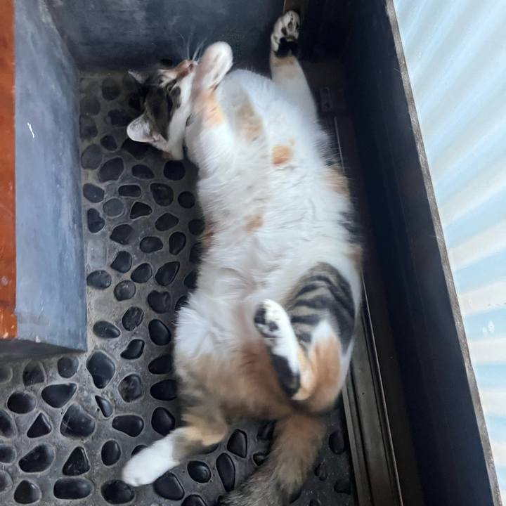 F3a72d95 5ae8 419c 8bb6 c99833eae129 1765713348905