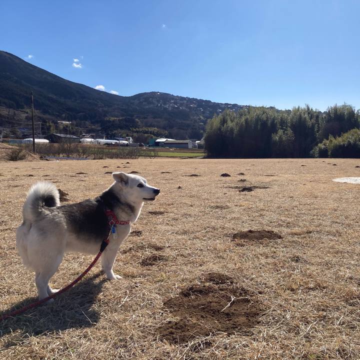 F3a7342e 14a4 40fc 8031 43651d0a1246 1739672128028