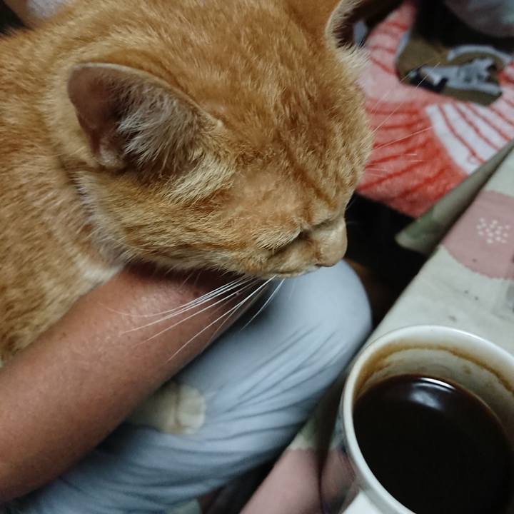 F3a73922 1477 49c2 aa4c 6bf068954f65 1593373046233