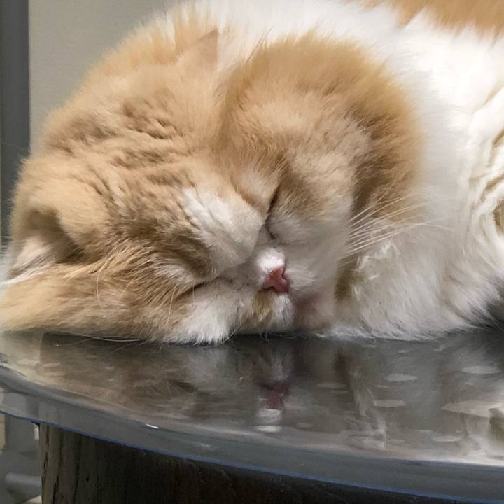 F3a75408 6f4e 4ce1 95b4 bf9aab747aca 1592744496014