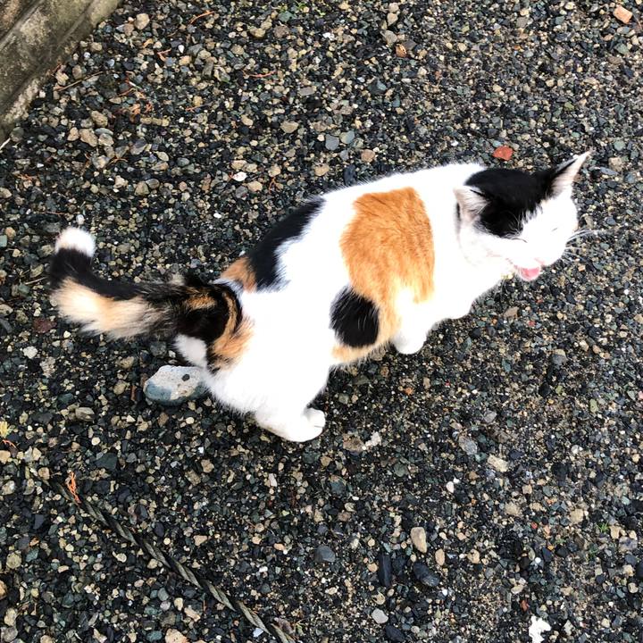 F3a77137 a522 444c 86ac 7b976899c1f7 1614982932651