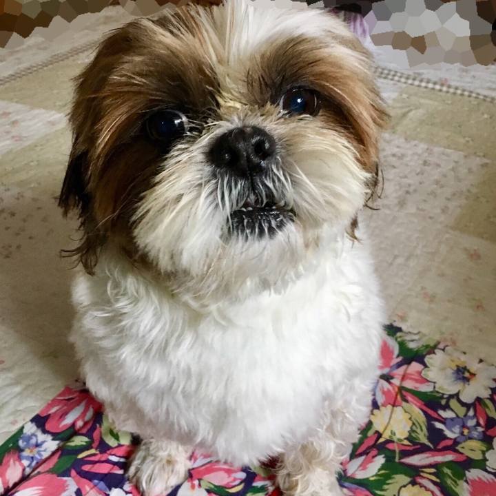 F3a7a0f8 d7bd 4ccb be24 0bb864b0e27e 1517630053944