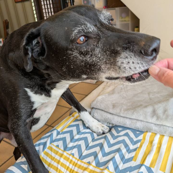 F3a7d489 49c9 407c 9e8e 820452f18a13 1764206286412