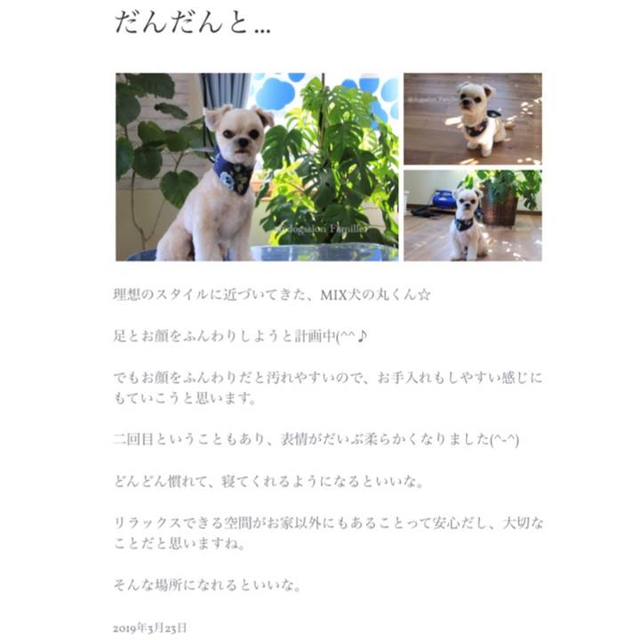 F3a7ffed db05 410f ba49 59cf8cea52b0 1553517090369