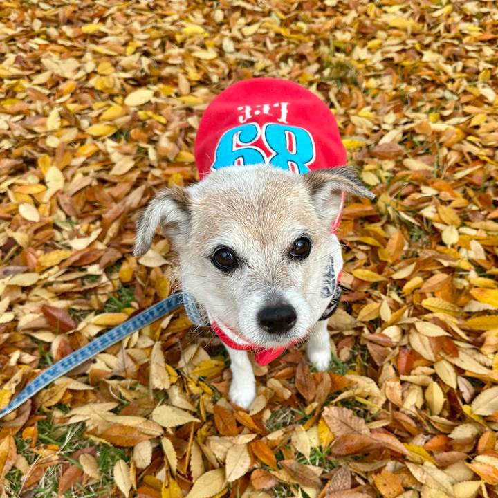 F3a81c9e 5724 484c 9949 794bd28d41f4 1731807372215