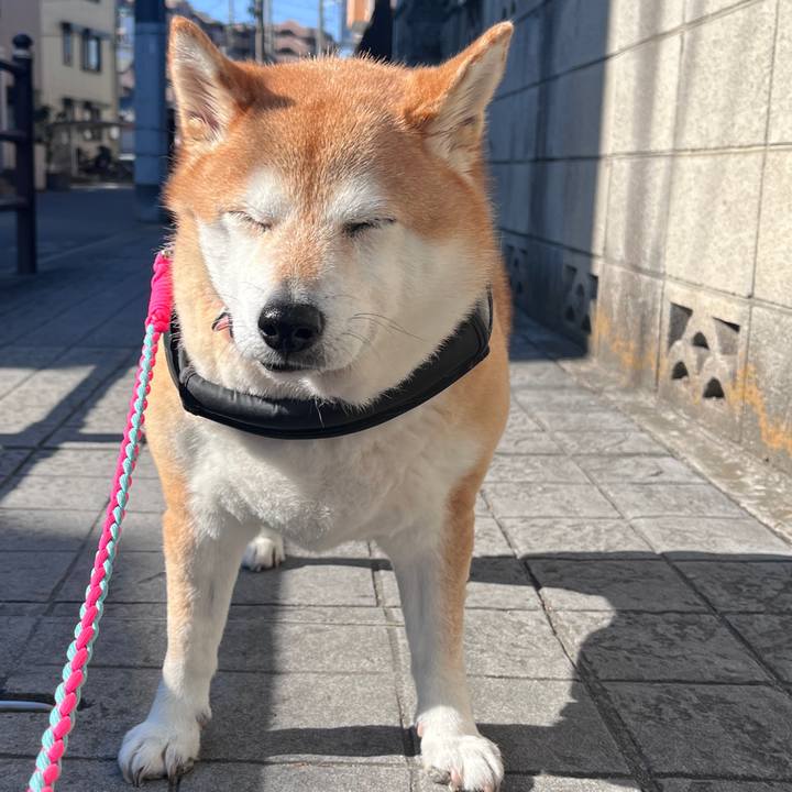 F3a85841 5b18 435e ab0f bdf23b930188 1706585799630