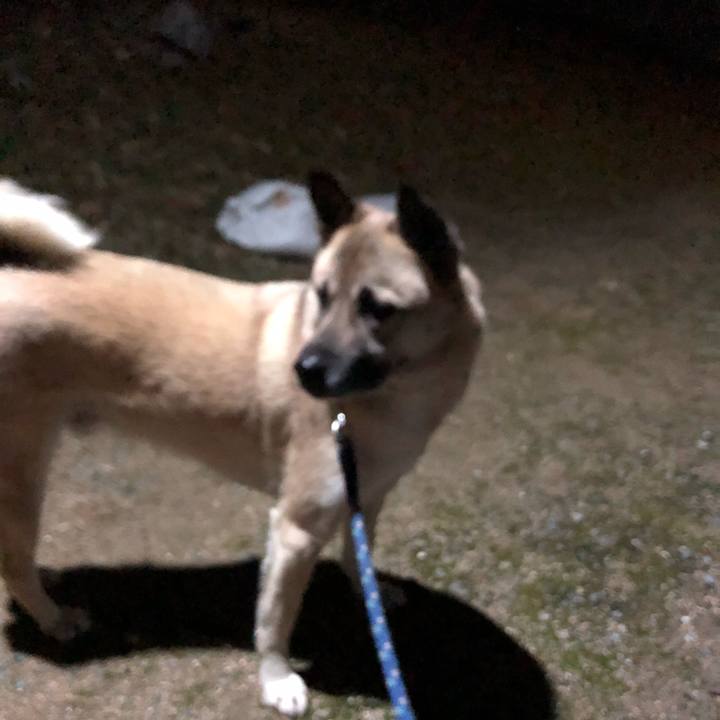 F3a85a30 f5c1 4fa9 b3a9 784f928866fc 1610625351993