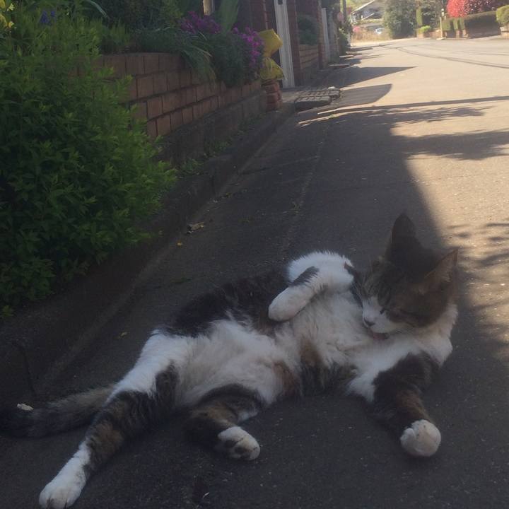 F3a86ccc 808d 4dcd 8024 b62cb6cd8f30 1555569981512