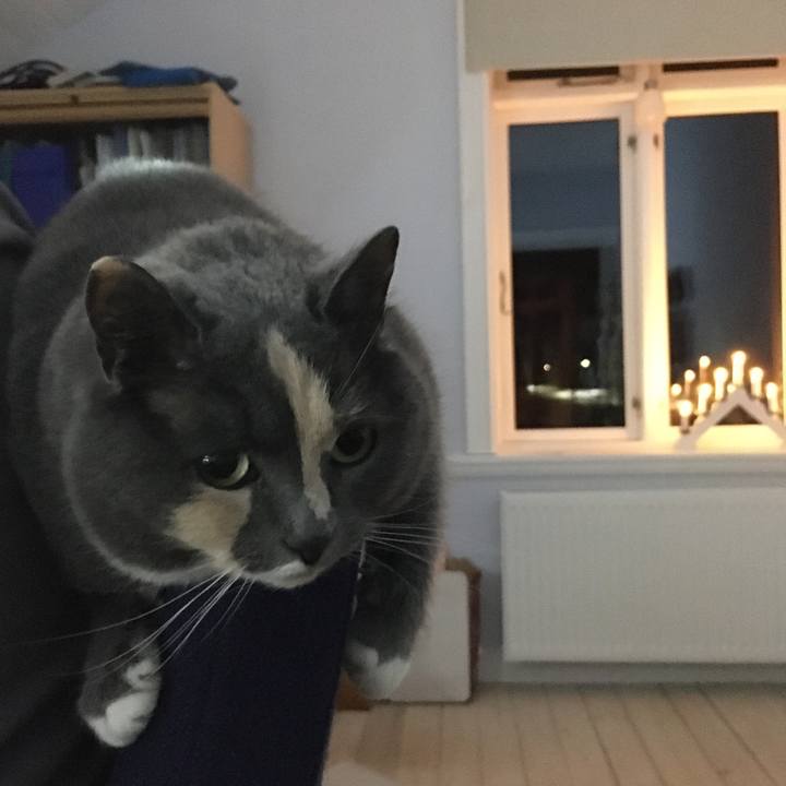 F3a88ecc f88e 40f0 bdde b5f35c61d6b1 1639502367039