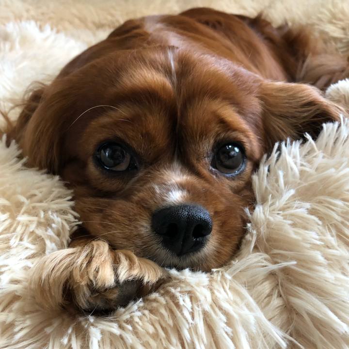 F3a892f6 9479 49cb 8926 c228053b01e3 1619264754288