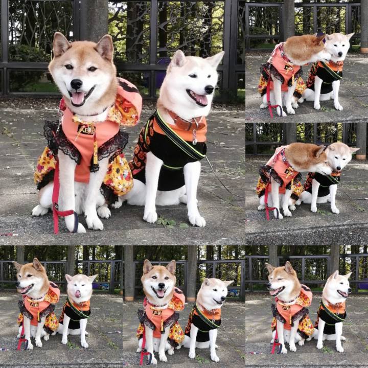 F3a89d9e 10dc 4a73 ada6 6af03acb06a6 1666709037938