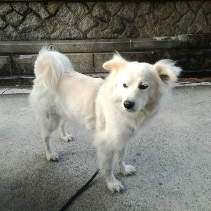 F3a8dae4 3eaf 4823 8fe5 24d084d0b2ec 1519601669921