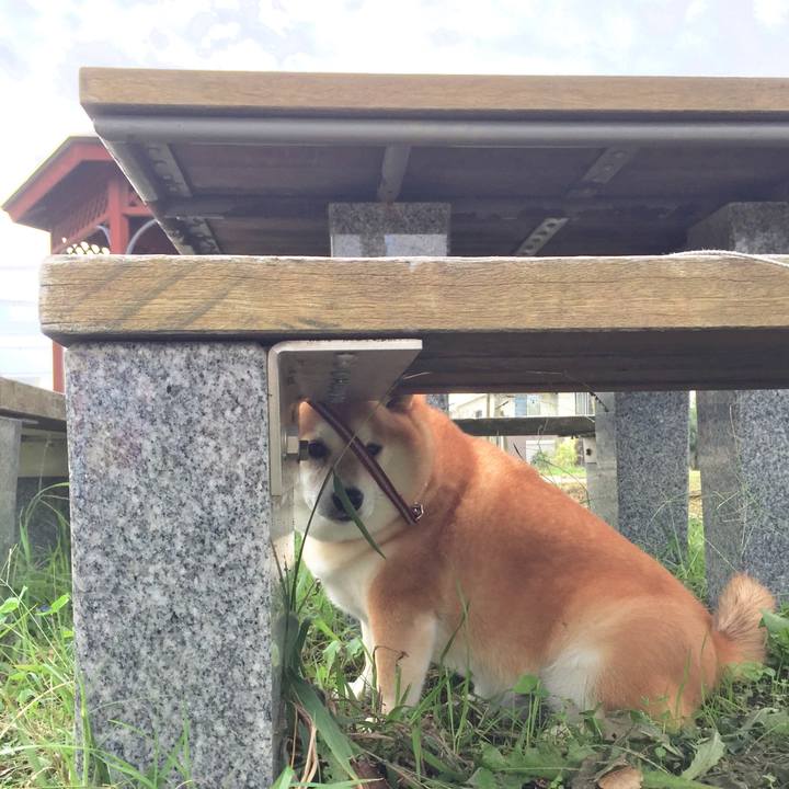 F3a8ed72 bc17 42bb 8a25 37b68777dce3 1572258413656