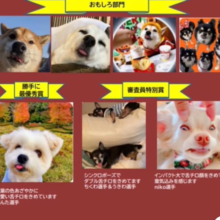 F3a8f0ec 69cb 44aa b989 1142df124687 1667524475974