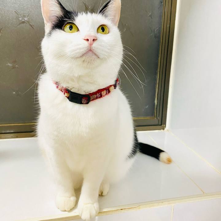 F3a8fb5a 6b27 4eaf bb00 79b7c83ef053 1697546228433