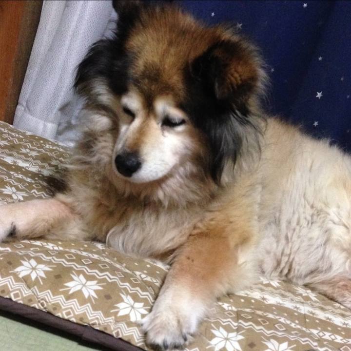 F3a91580 b440 48e5 bf84 ce074413e139 1654605064824