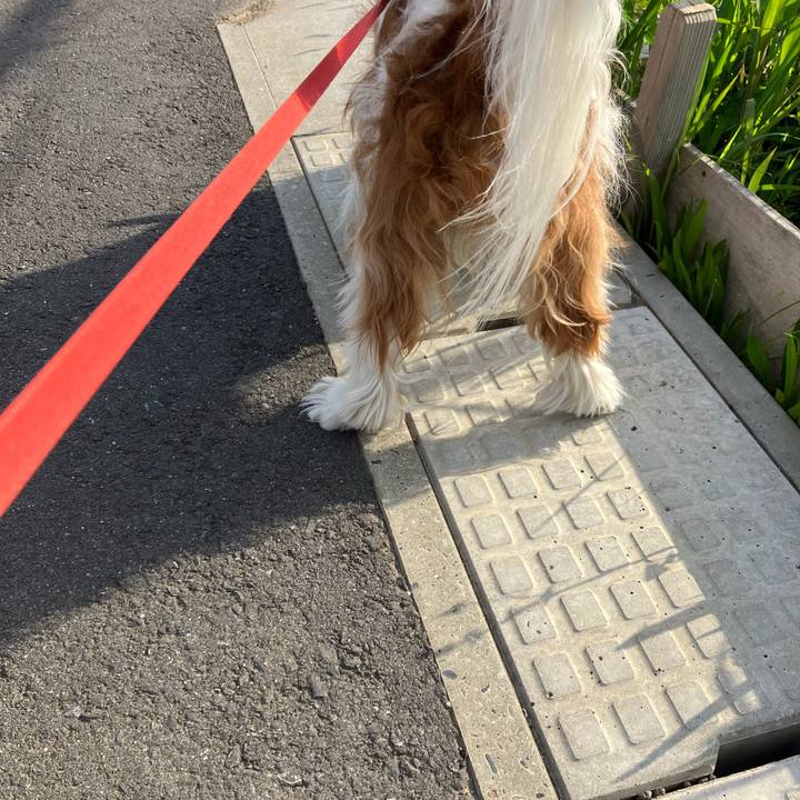 F3a926b6 46aa 46c8 9349 c17be2efd302 1683012321511