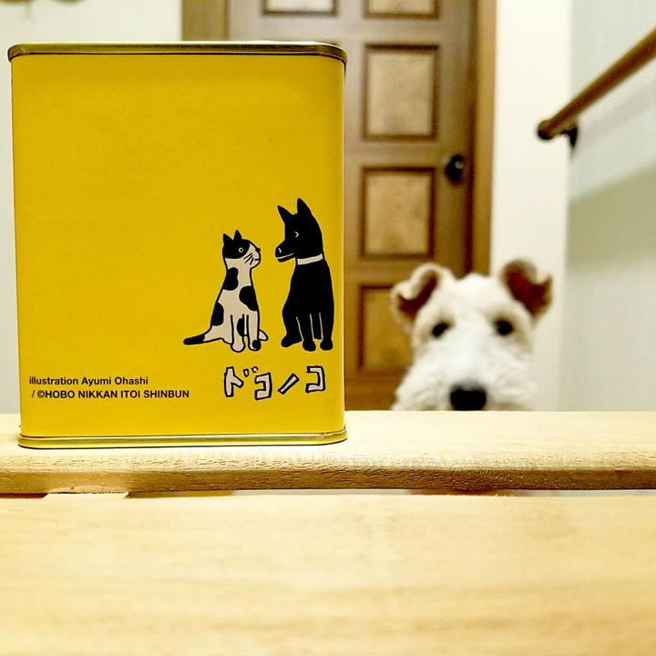 F3a98a6a 96e3 4e48 931c dcb8aab12f20 1521720442023