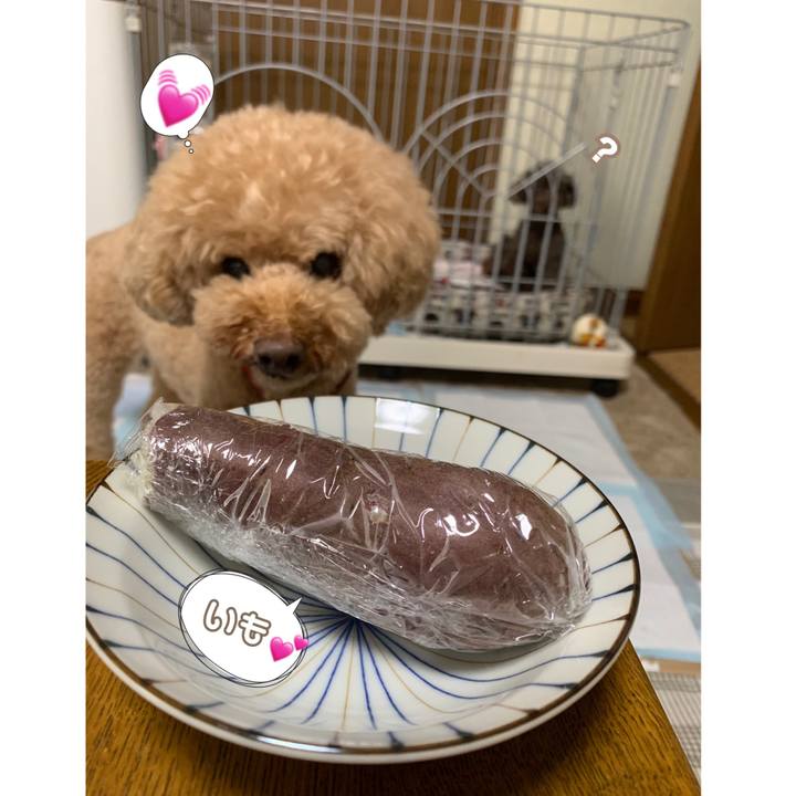 F3a9956b 0e1a 4859 9690 1844595098fb 1562711541948