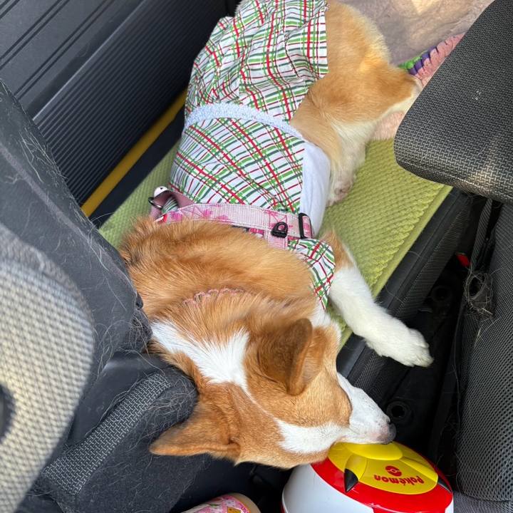 F3a9ae61 3130 4c30 8642 446c825ed924 1772365864638