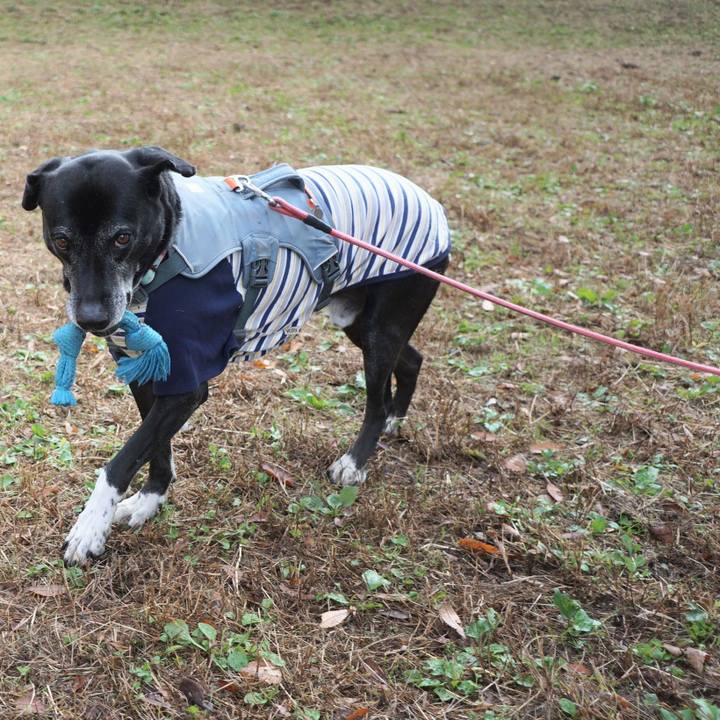 F3a9ccb1 011a 40ec ac69 3fb44fa43284 1763253119067