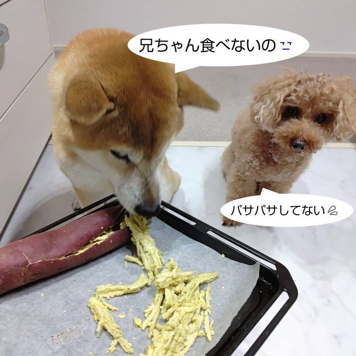 F3a9e876 ae37 4ec0 966d cf7fc5fc9120 1601009782158