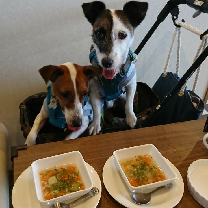 F3a9f930 09c8 40b5 a211 4d8537f39e52 1561621397959