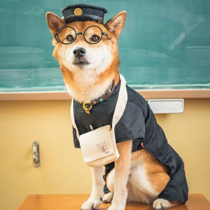 F3aa05cb bffa 4e58 889f fdfdc1a64706 1724636611537