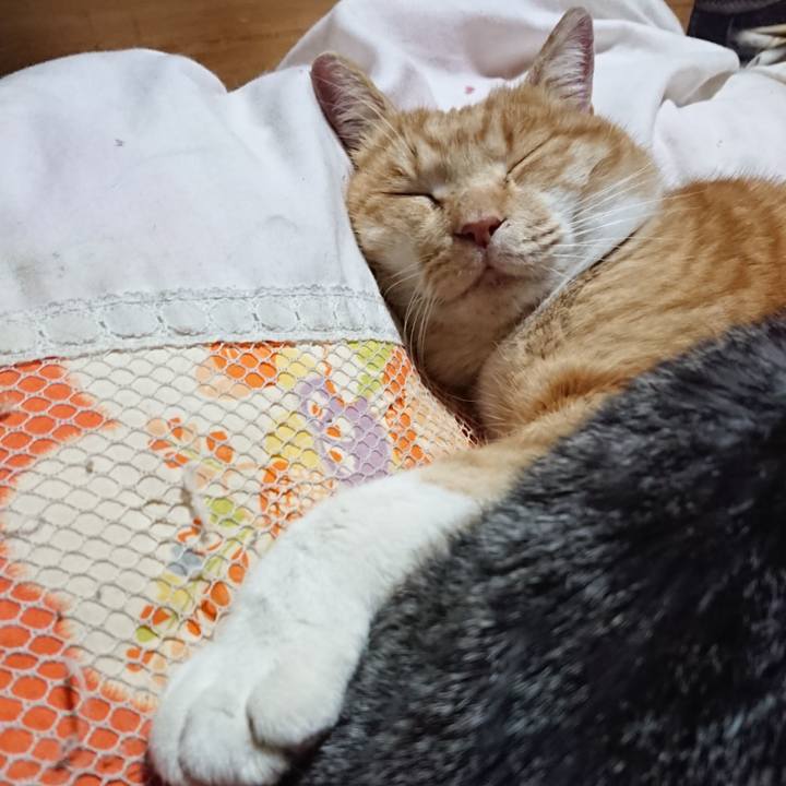 F3aa0aba 32d7 4701 9894 fe9e7a442300 1577622250578