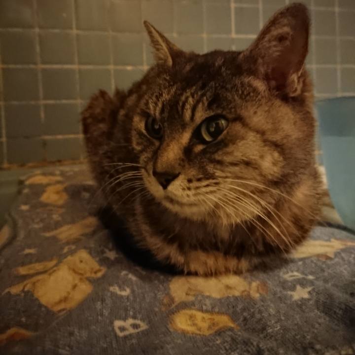 F3aa1fea bc90 47a5 8f71 7a9ebd0cc7a4 1578734043538