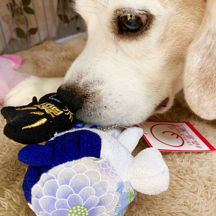 F3aa3b3c 981f 4d1b 8a45 59d9dd189e11 1746416299653