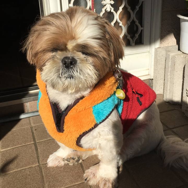 F3aa40d7 8644 4222 adb2 8519dd10aef1 1512871467854