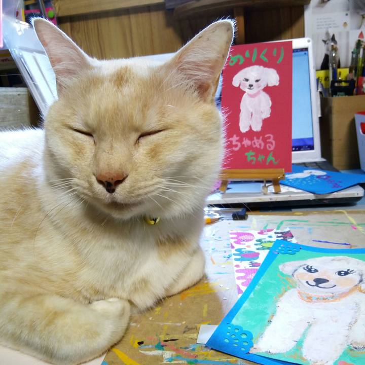 F3aa4e7e ff84 40fb 93c1 6c0f15e8ebdd 1513772973717