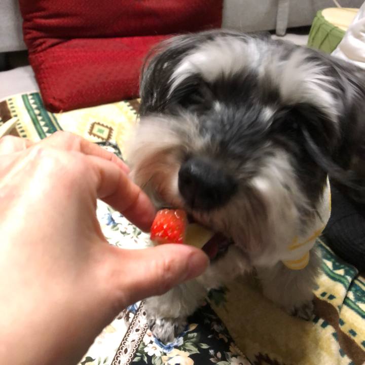 F3aa5239 980d 41df 9b06 424768f79ebf 1645540425149