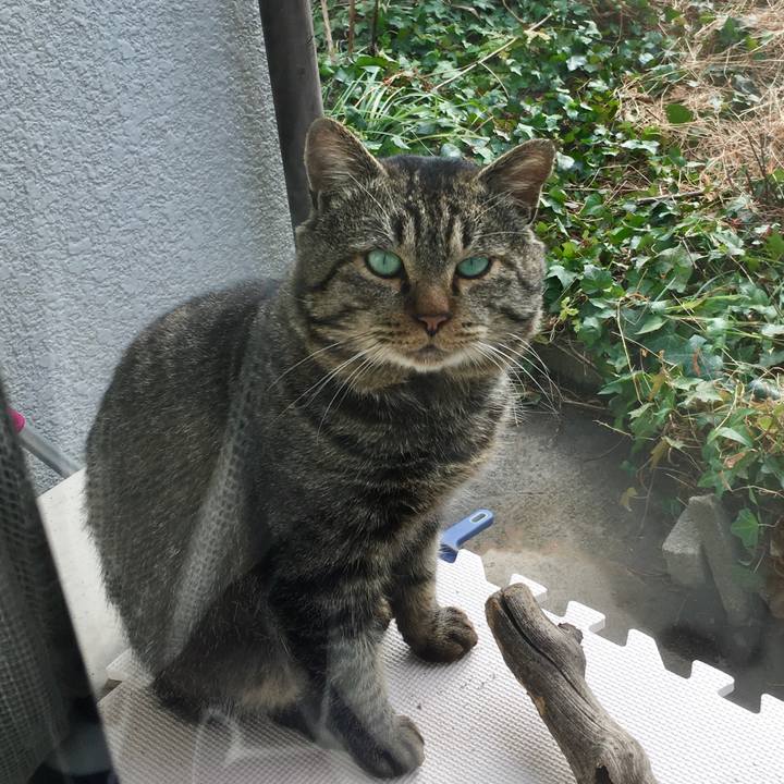 F3aa77ce 2085 4fca 9bd1 223e54b9bde0 1611641511934