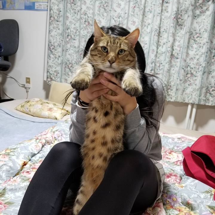 F3aaa513 694e 4343 81dd 59a6f9adbf84 1617279071291