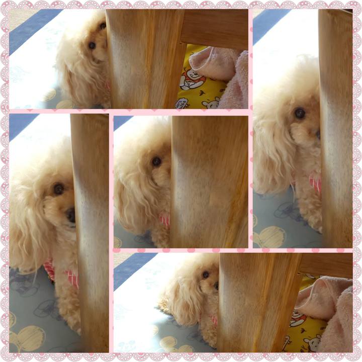 F3aae8b5 dc36 4696 b6d4 fe256aede586 1630748964557