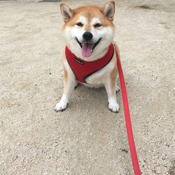 F3aaed97 69a2 44f0 9540 b6f90735c154 1599871793703