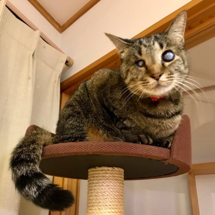 F3aaf41f 6c83 4176 aebc 6bb593226cdd 1559267900586