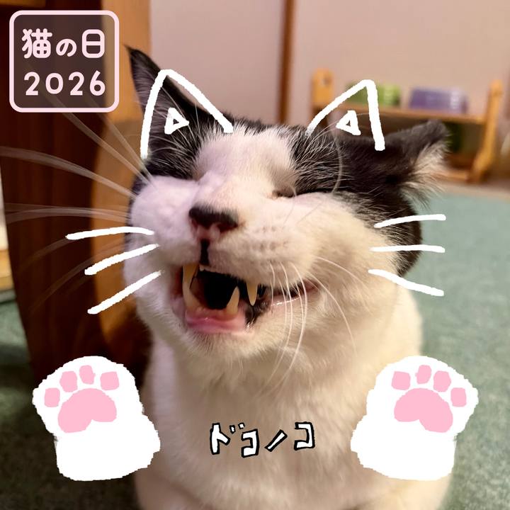 F3ab1ba6 a986 4460 a66b 00eae5712cec 1771773319671